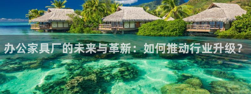 安信12是正规还是仿