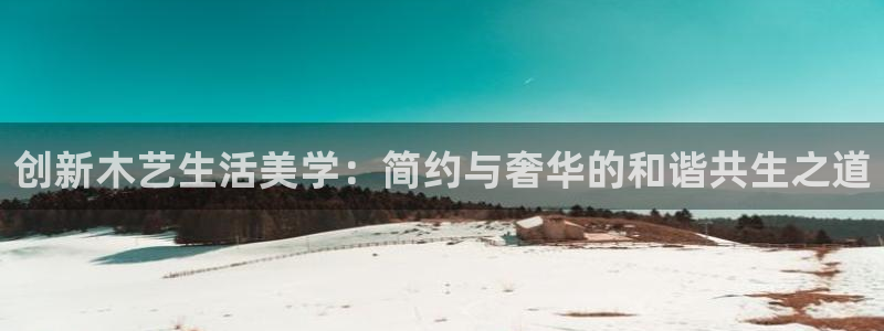 安信12专用挂机