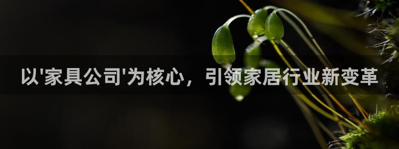 安信12注册登录下戴：以\'家具公司\'为核心，引领家居行业