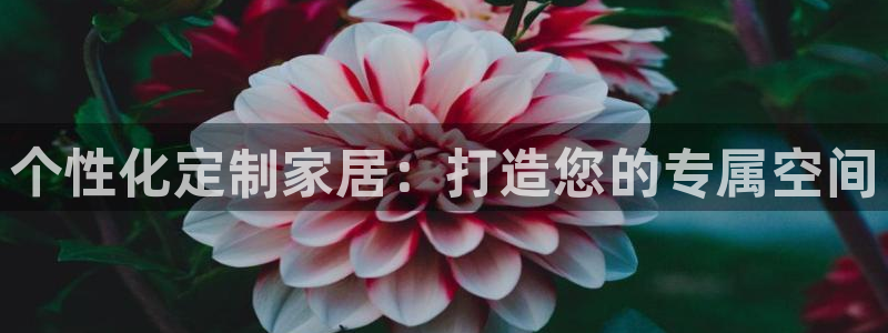 安信12平台下载