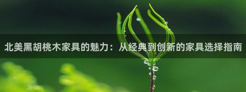 安信可esp-12：北美黑胡桃木家具的魅力：从经典到创新的家