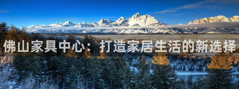 安信安翼 12账号