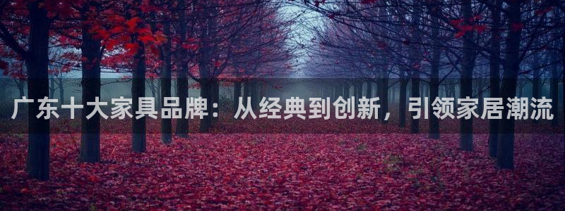安信12官方下载：广东十大家具品牌：从经典到创新，引领家居潮