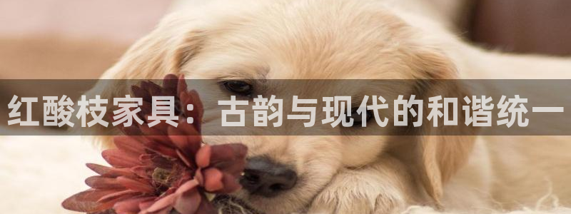 安信12平台官网