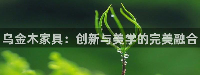 安信12娱乐主管