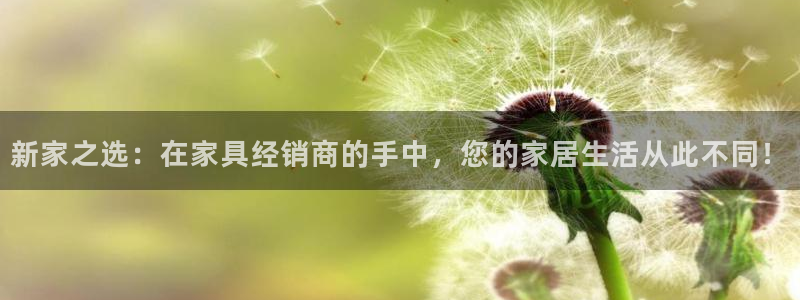 安信12娱乐主管