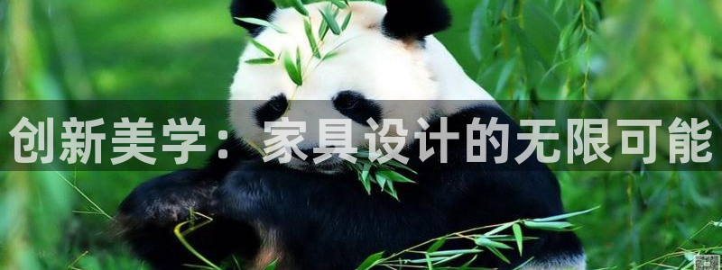 安信12平台介绍