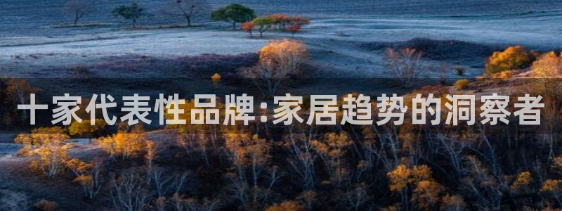 安信12是什么软件