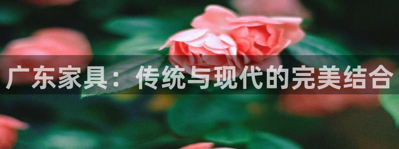 安信锐赢134号12月