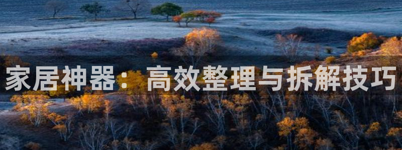 安信12平台介绍