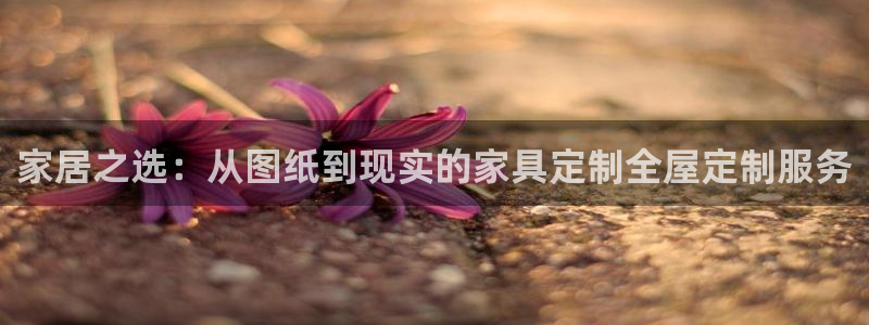 安信4娱乐去55 12