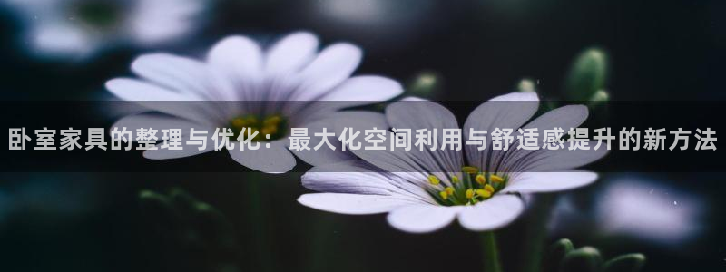 安信12平台最新消息