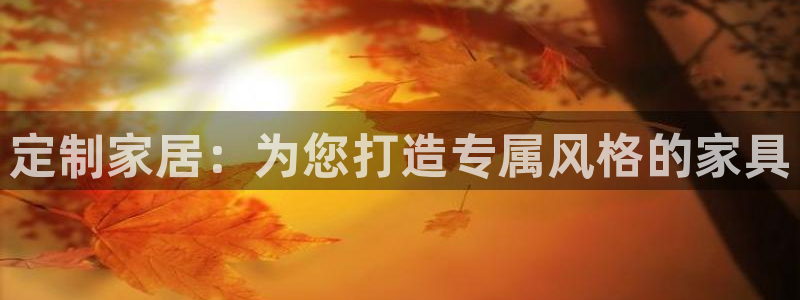 安信安翼 12账号