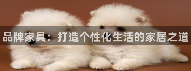 安信12平台的网址