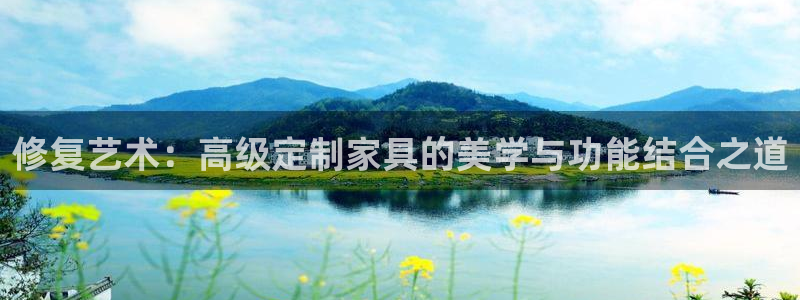 安信12是正规还是仿