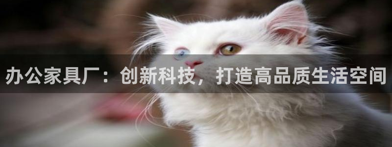 安信锐赢134号12月