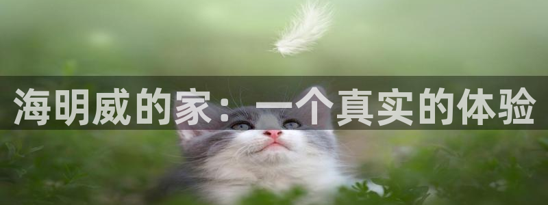 安信12周年庆典