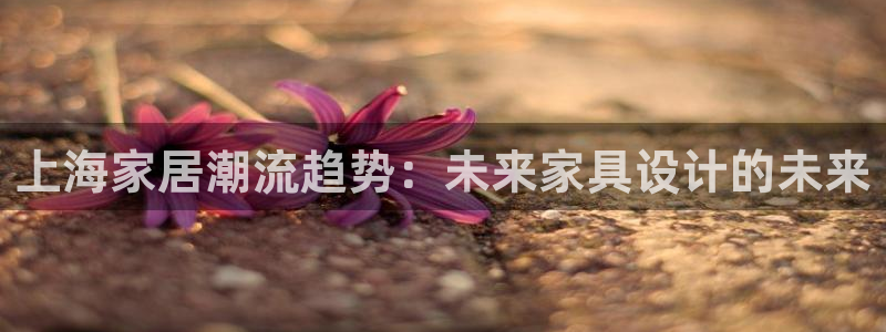 安信12注册代理