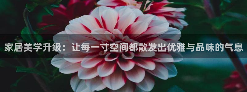 安信12注册咋7O777