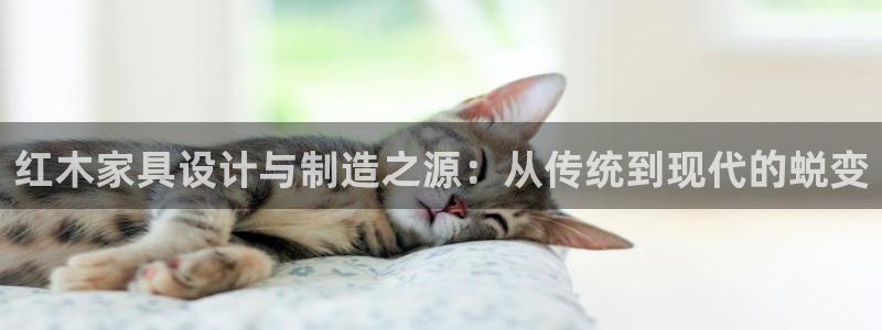 安信12软件介绍