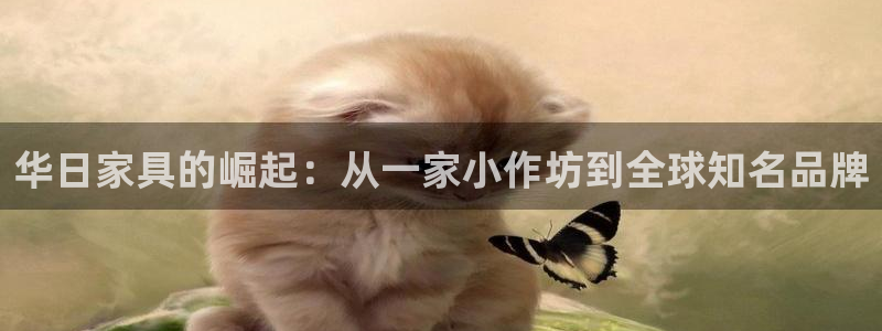 奇安信12流转场