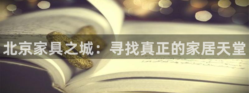 安信12级粉丝团福利
