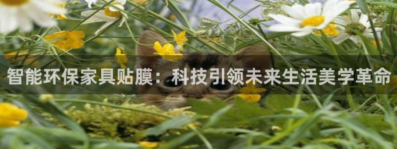 安信娱乐12登录地址