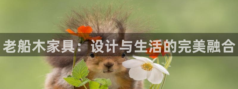 安信12娱乐招商