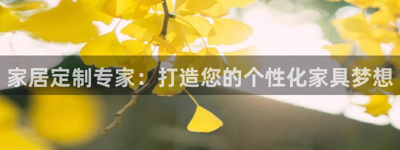 安信12是正规平台吗