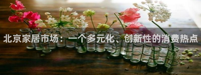 安信安盈12最新消息