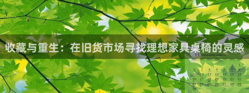 安信esp12：收藏与重生：在旧货市场寻找理想家具桌椅的灵感